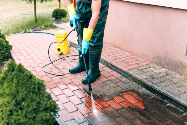 Best Gutter Cleaning  in Red Lake, MN