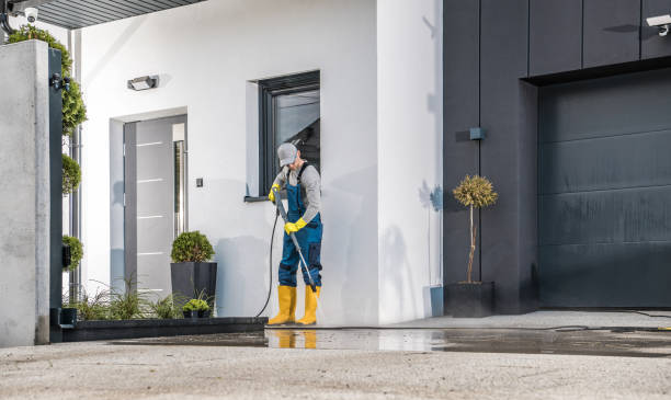 Best Spring Cleaning  in Red Lake, MN